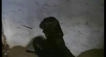 anh sex đẹp Brunette hút vòi nước dày. sexkoche